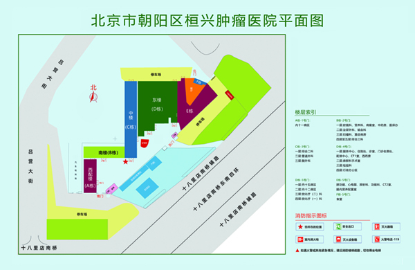 美女被屌视频无打码北京市朝阳区桓兴肿瘤医院平面图